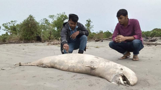 ছবি সংগৃহীত