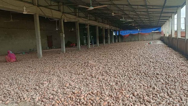 ছবি সংগৃহীত