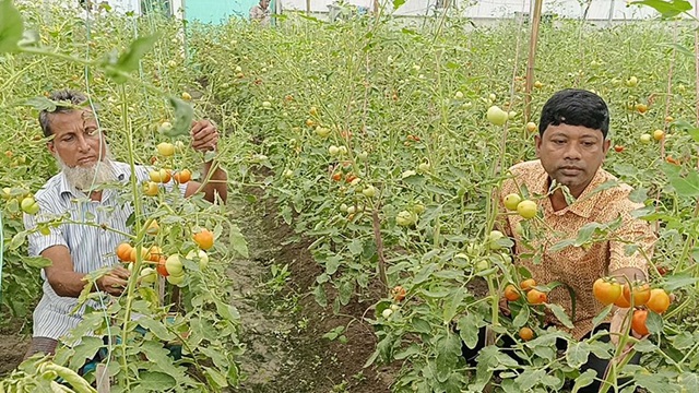 ছবি সংগৃহীত