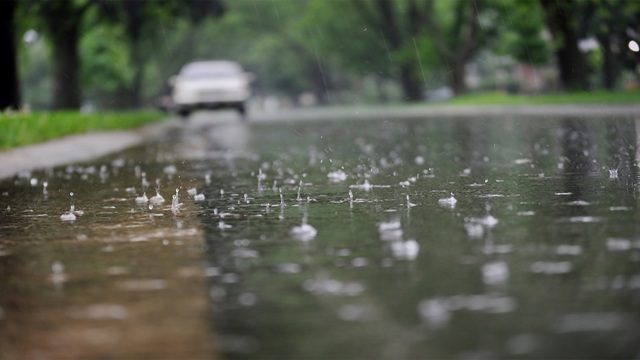 ছবি সংগৃহীত