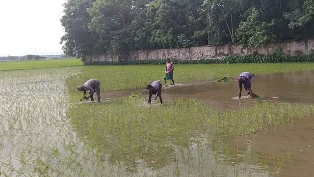ছবি সংগৃহীত