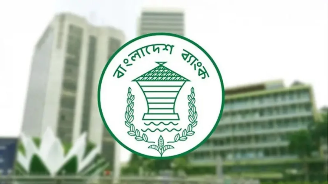 ছবি সংগৃহীত