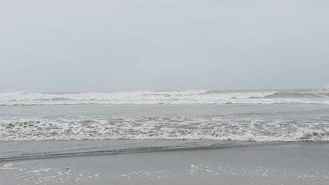 ফাইল ছবি