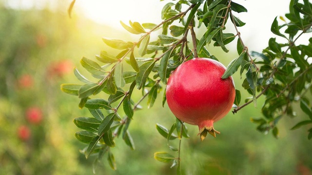 ছবি সংগৃহীত