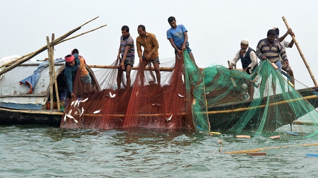 ২২ দিন নিষেধাজ্ঞার পর ইলিশ শিকারে জেলেরা