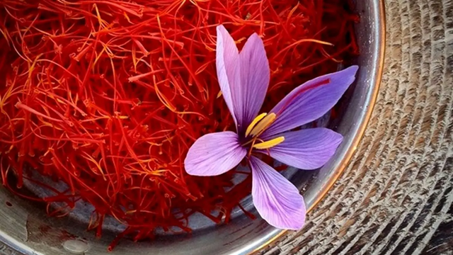 ছবি সংগৃহীত