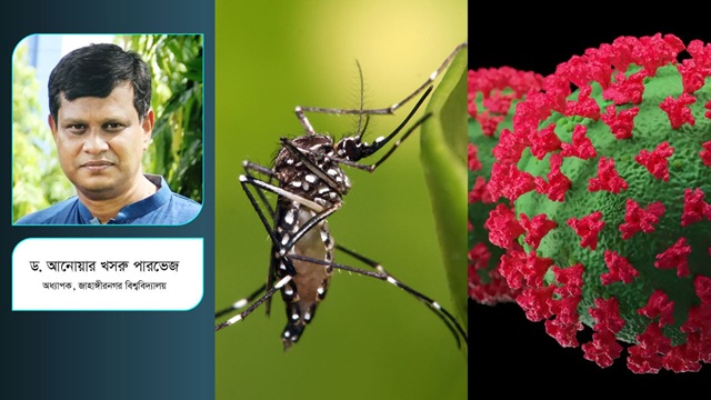 ছবি সংগৃহীত