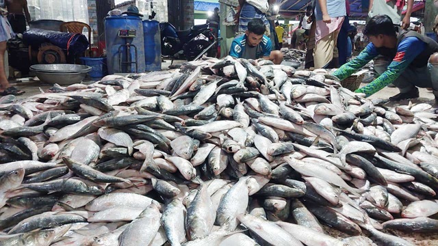 ছবি সংগৃহীত