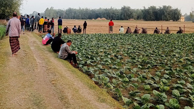 ফাইল ছবি