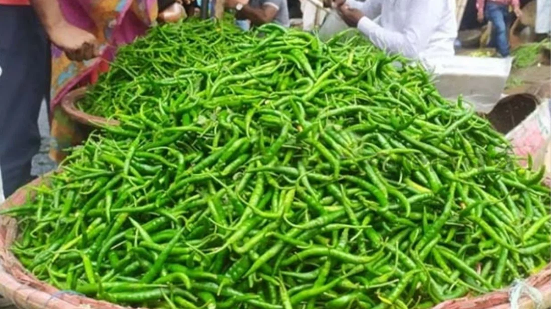 ছবি সংগৃহীত