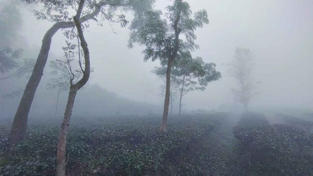 মৌলভীবাজারে শীতের দাপটে কাহিল শ্রমজীবীরা