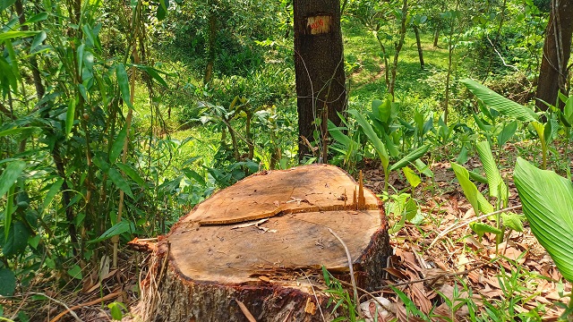 ছবি সংগৃহিত