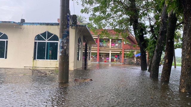 মায়ের শাড়িতে মুড়িয়ে মায়ের কবরের পাশে সমাহিত হলেন দাদা ভাই