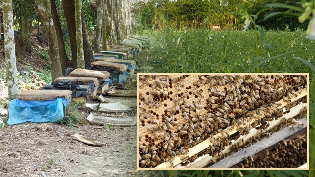 ছবি সংগৃহীত