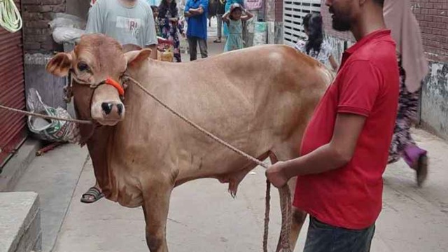 ছবি সংগৃহীত