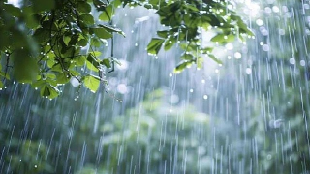 ছবি সংগৃহীত