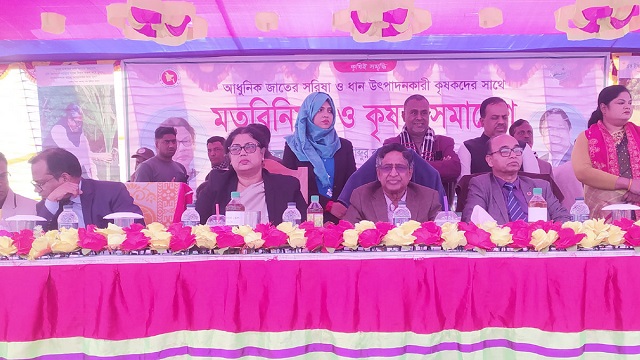 ছবি সংগৃহিত