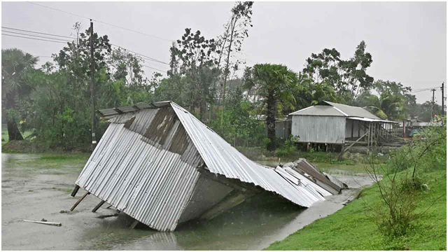 ছবি- সংগৃহীত
