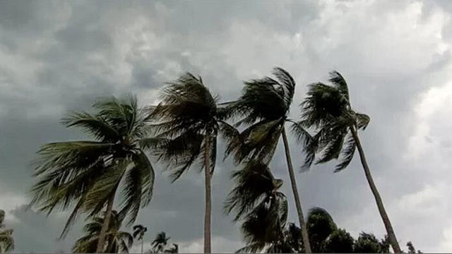 ছবি সংগৃহীত