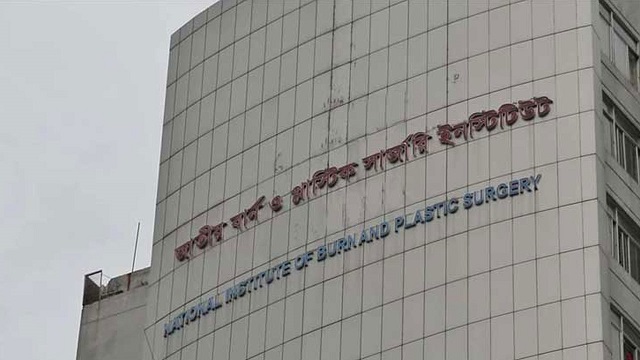 ছবি সংগৃহীত