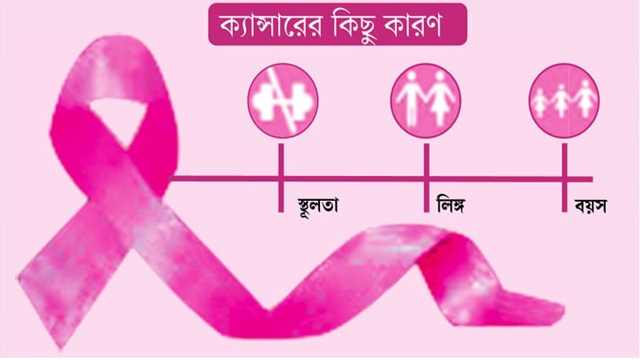 ছবি সংগৃহীত