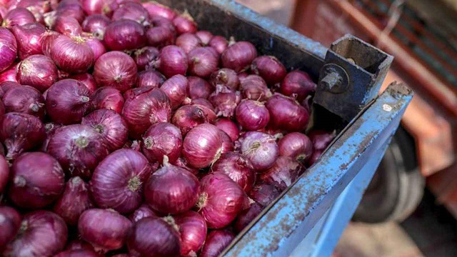 পেঁয়াজের দাম কমানোর চেষ্টা করছে ভারত সরকার