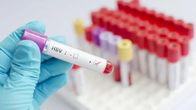 ফাইল ছবি