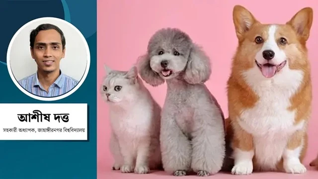 ছবি : সংগৃহীত