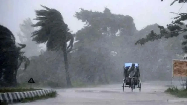ছবি ‍: সংগৃহীত