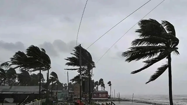 ফাইল ছবি