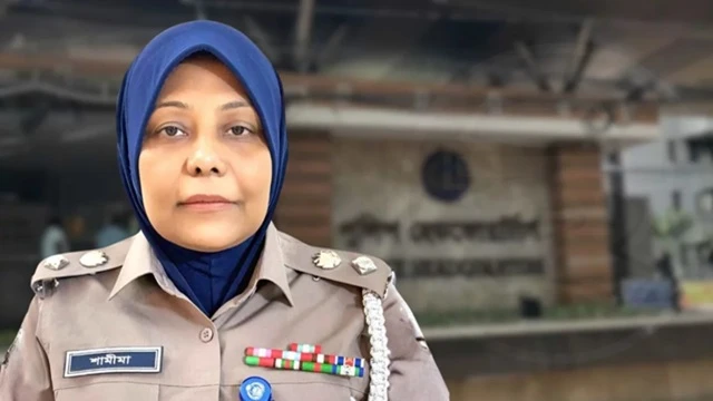 ফাইল ছবি